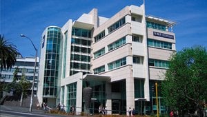 Auslandssemester an der Auckland University of Technology