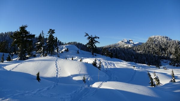 Schneeschuhlaufen auf dem Grouse Mountain